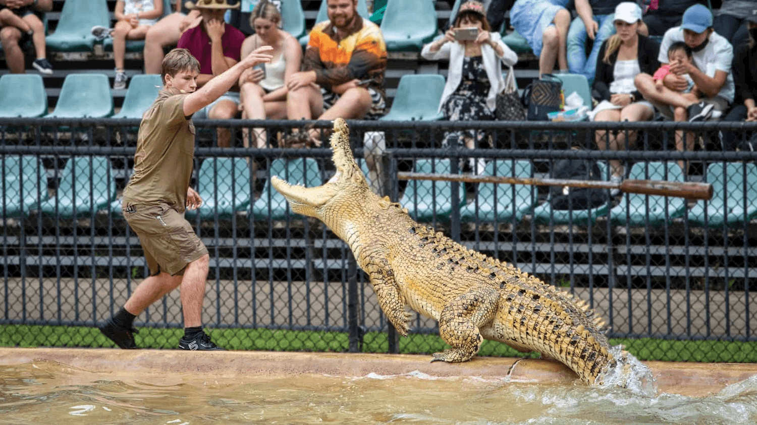 Australia Zoo 1 Day Entry