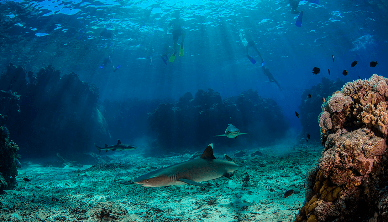 Ultimate Encounter Mini Package image