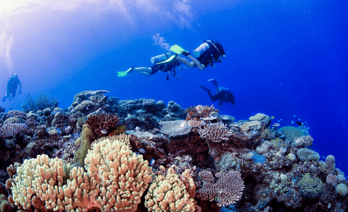 Open Water SSI Dive Certification Course image