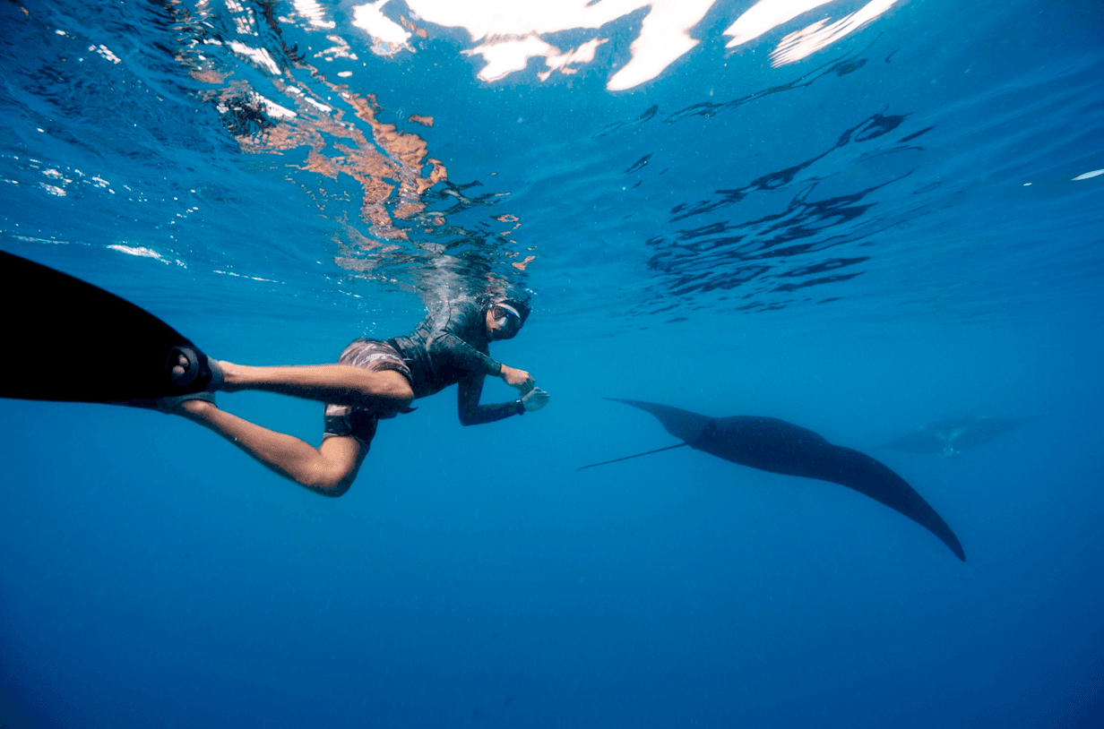 Island Adventure Package image