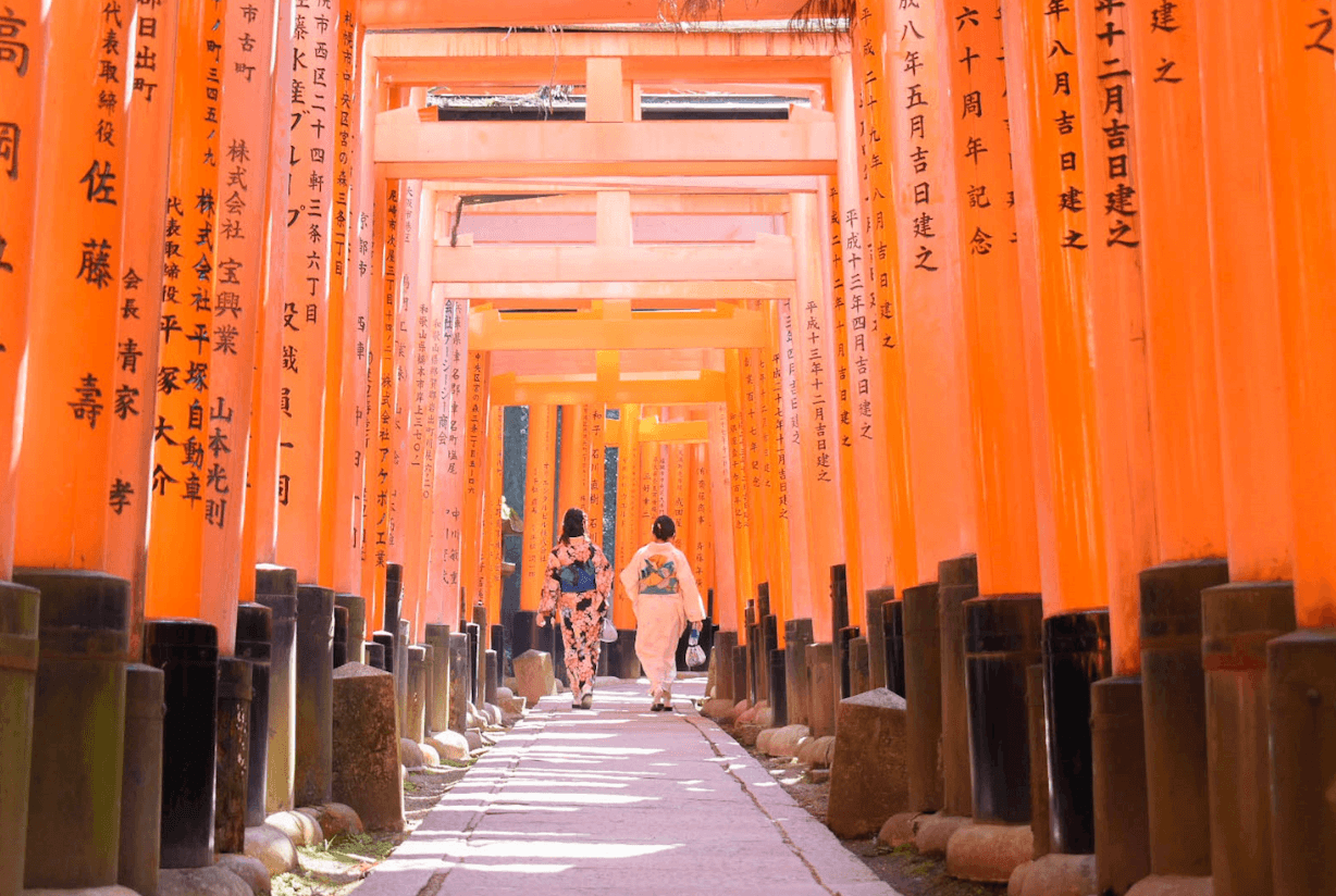 Japan Adventure 13 image