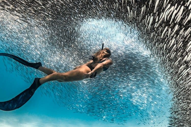 Snorkel Sand Sun image