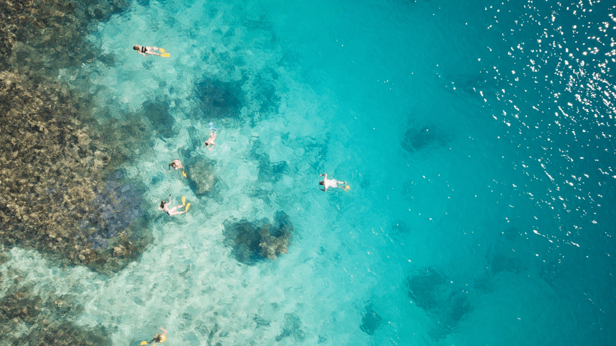 Coconut Cruiser Package image